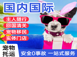 忻州航空货运国际宠物托运 【国